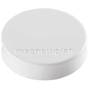 Magnetoplan magnet Ergo Medium (Ø x v) 30 mm x 8 m guľatý biela 10 ks 1664000