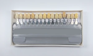 1 Set Dental Teeth Shade Guide Ivoclar Vivadent 9/16/20 Color Porcelain Material A1-D4