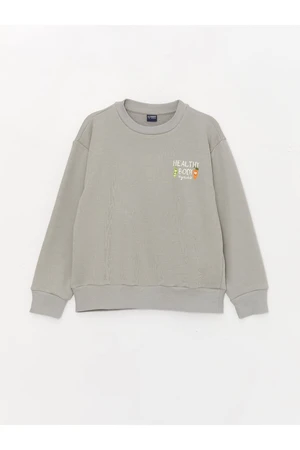 LC Waikiki Crew Neck Printed Long Sleeve Boy's Sweatshirt