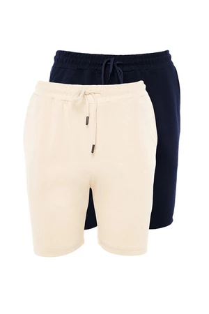 Trendyol Navy Blue-Stone Basic Regular/Normal Cut 2-Pack Shorts