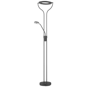 ACTION REMY 3073.02.10.6000 LED stojaca lampa LED  pevne zabudované LED osvetlenie 17 W  niklová (matná)