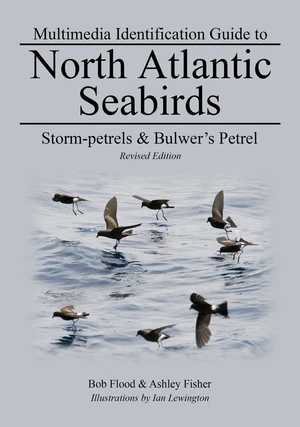 Storm-petrels & Bulwer's Petrel