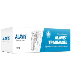 ALAVIS Traumagel 100 g