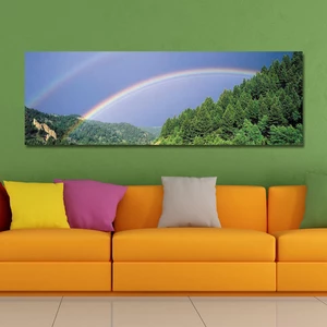 DYC 10429 Single Spray Oil Paintings Photography Rainbow Wall Art For Home Decoration