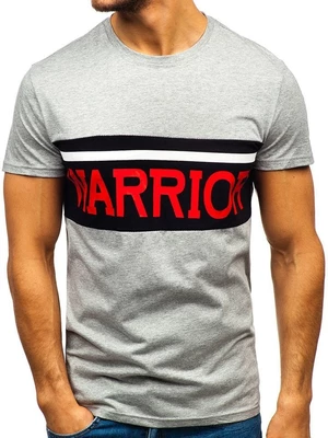 Men's T-shirt with print "Warrior" 100701 - grey,