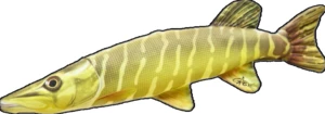 Gaby plyšová ryba šťuka mini 45 cm
