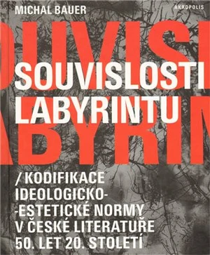 Souvislosti labyrintu - Michal Bauer