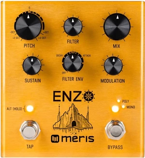 Meris Enzo Pedal de efectos para guitarra