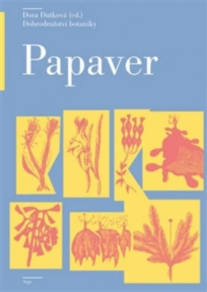 Papaver - Dora Dutková