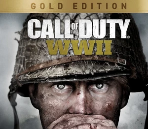 Call of Duty: WWII Gold Edition PlayStation 4 Account