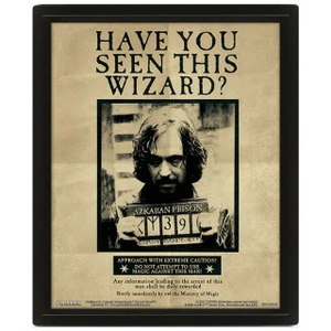 Harry Potter: Obraz 3D - Sirius Black