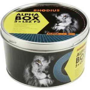 Vějířovitý brusný kotouč Rhodius LSZ F2 BOX 209317, Ø 125 mm/