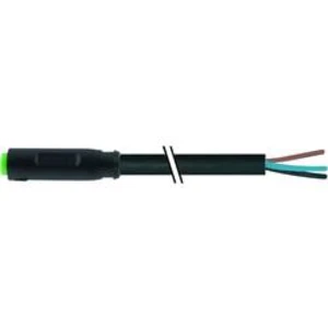 Neupravený zástrčkový konektor pro senzory - aktory Murr Elektronik 7000-08221-6310300 3.00 m, 1 ks