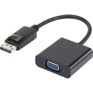 DisplayPort / VGA adaptér Renkforce RF-4212174, černá