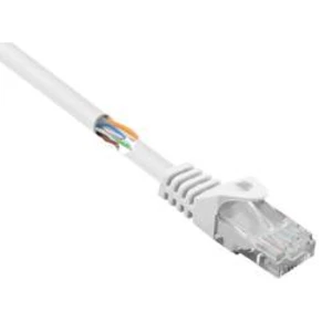 Síťový kabel RJ45 Basetech BT-1717498, CAT 5e, U/UTP, 25.00 cm, bílá