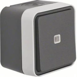 Kontrolní spínač, přepínač Berker 31763505 šedá, světle šedá, na omítku W.1