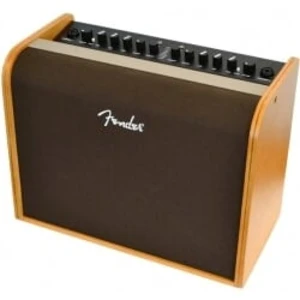 Fender Acoustic 100