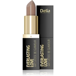 Delia Cosmetics Everlasting Love Be Glamour matný rúž odtieň 301 happy 4 g