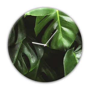 Nástenné hodiny Styler Glassclock Monstera, ⌀ 30 cm