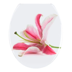 WC sedadlo Wenko Orchid, 45 × 38 cm