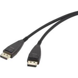 DisplayPort kabel Renkforce [1x zástrčka DisplayPort - 1x zástrčka DisplayPort] černá 30.00 m