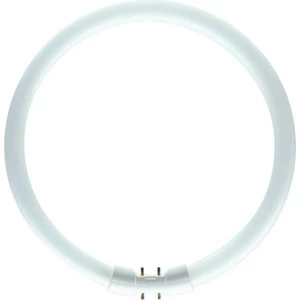 Kruhová zářivka Philips MASTER TL5 Circular 60W/840 T5 2GX13 neutrální bílá 4000K