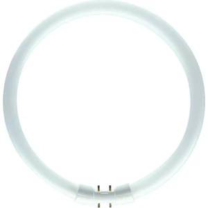 Kruhová zářivka Philips MASTER TL5 Circular 60W/840 T5 2GX13 neutrální bílá 4000K