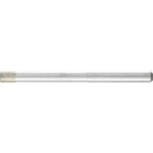 BRUSNÉ tělísko PFERD 36003006 Průměr 3 mm