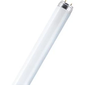 Zářivka Osram, 16 W, G13, 720 mm, studená bílá