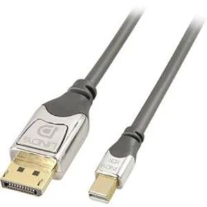 DisplayPort kabel LINDY [1x zástrčka DisplayPort - 1x mini DisplayPort zástrčka] šedá 0.50 m