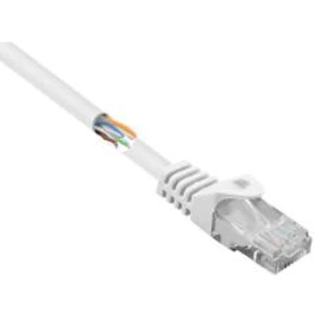 Síťový kabel RJ45 Basetech BT-1717496, CAT 5e, U/UTP, 15.00 cm, bílá
