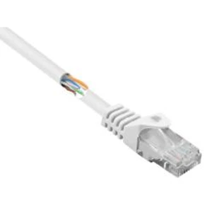 Síťový kabel RJ45 Basetech BT-1717496, CAT 5e, U/UTP, 15.00 cm, bílá