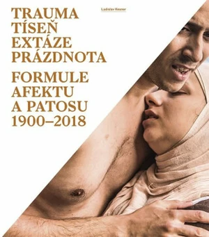 Trauma, tíseň, extáze, prázdnota - Ladislav Kesner