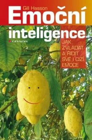Emoční inteligence - Gill Hassonová