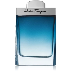 Salvatore Ferragamo Subtil Pour Homme toaletní voda pro muže 100 ml