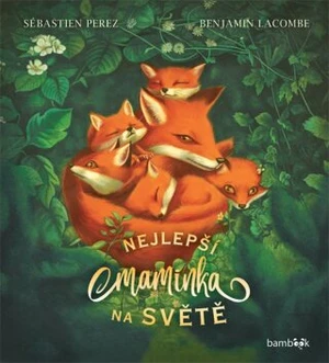 Nejlepší maminka na světě - Sébastien Perez, Benjamin Lacombe - e-kniha
