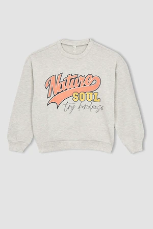 DEFACTO Relax Fit Sweatshirt