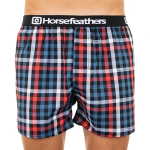 Men's shorts Horsefeathers Clay stellar