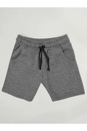 Denokids Basic Boys' Gray Shorts