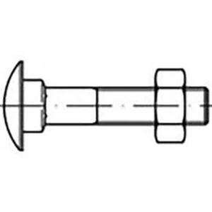 Šrouby s plochou kulatou hlavou TOOLCRAFT TO-6855747, N/A, M6, 30 mm, ocel, 100 ks