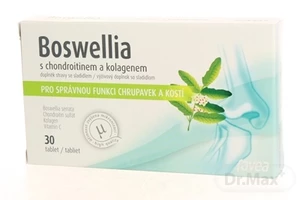 BOSWELLIA s chondroitínom a kolagénom