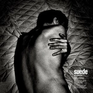 Autofiction - Suede - audiokniha