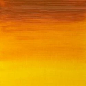 Olejová barva W&N Artists 37ml – 319 Indian Yellow