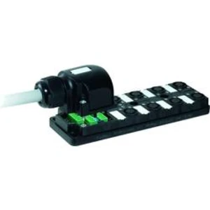 Aktivní box senzor/aktor Murr Elektronik 27037, 1 ks