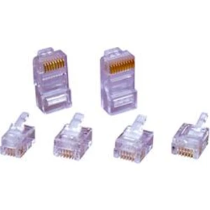 Zástrčka, rovná encitech 6510-0104-05, RJ50 RJ48-10P10CR, transparentní, 1 ks