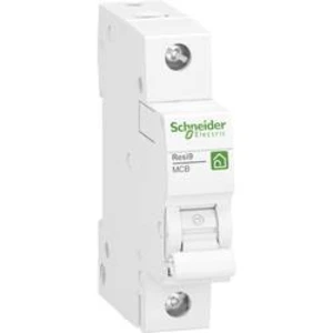 Elektrický jistič Schneider Electric R9F23110, 1fázový, 10 A, 230 V