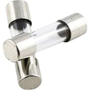Trubičková pojistka TRU COMPONENTS TC-522.517 1A, 1576508, (Ø x d) 5 mm x 20 mm 1 A 250 V T pomalá, 1 ks