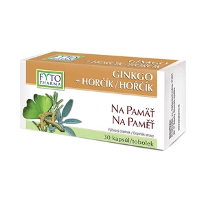 Fytopharma Ginkgo + Horčík na pamäť