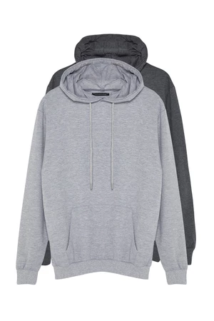 Trendyol Men's Gray 2 Pack Regular Fit Basic Hooded Sweatshirt