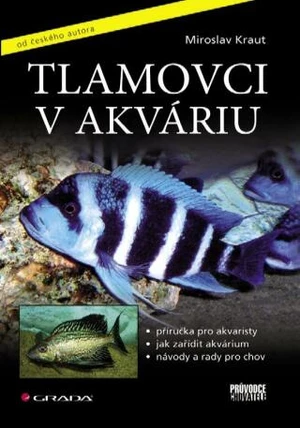 Tlamovci v akváriu - Miroslav Kraut - e-kniha